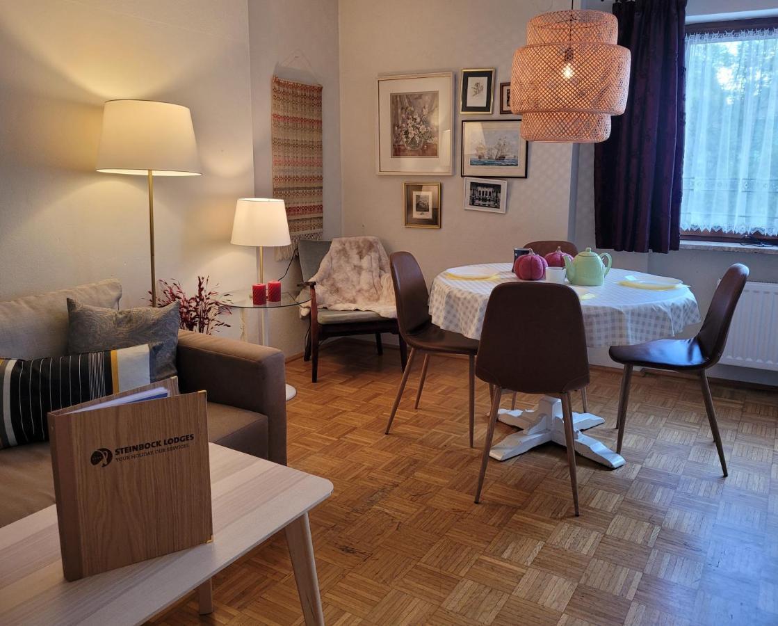 Apartment Budget Centrum – Steinbock *